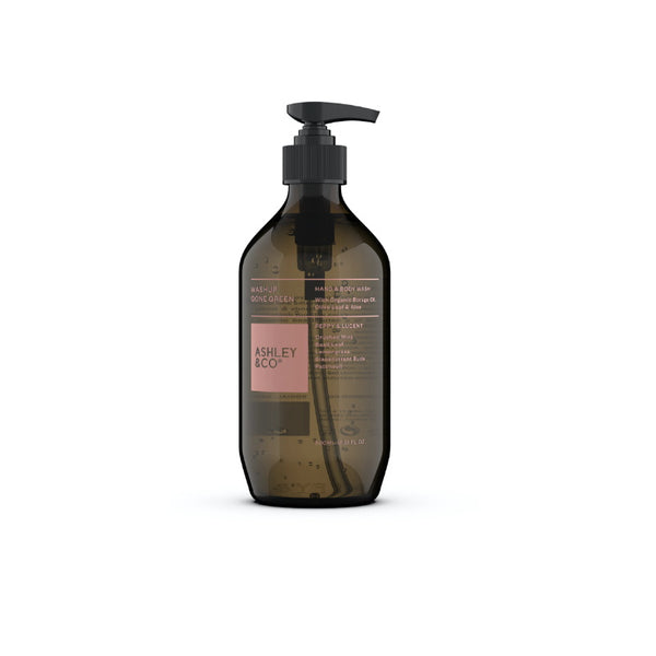 Ashley & Co WashUp Gone Green - Peppy & Lucent 500ml